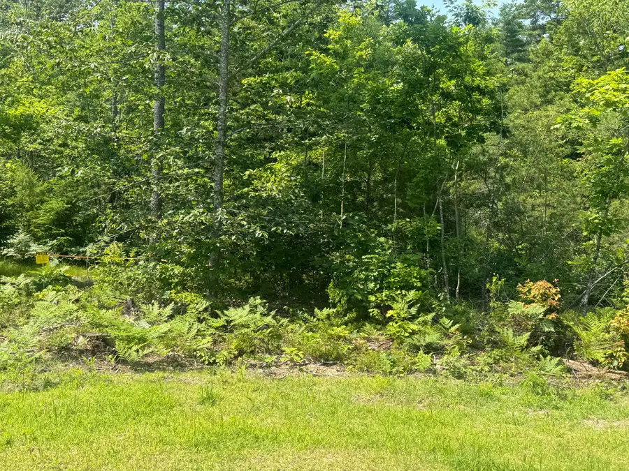 Lot 1 Young's Way, Standish, ME 04084 - #2