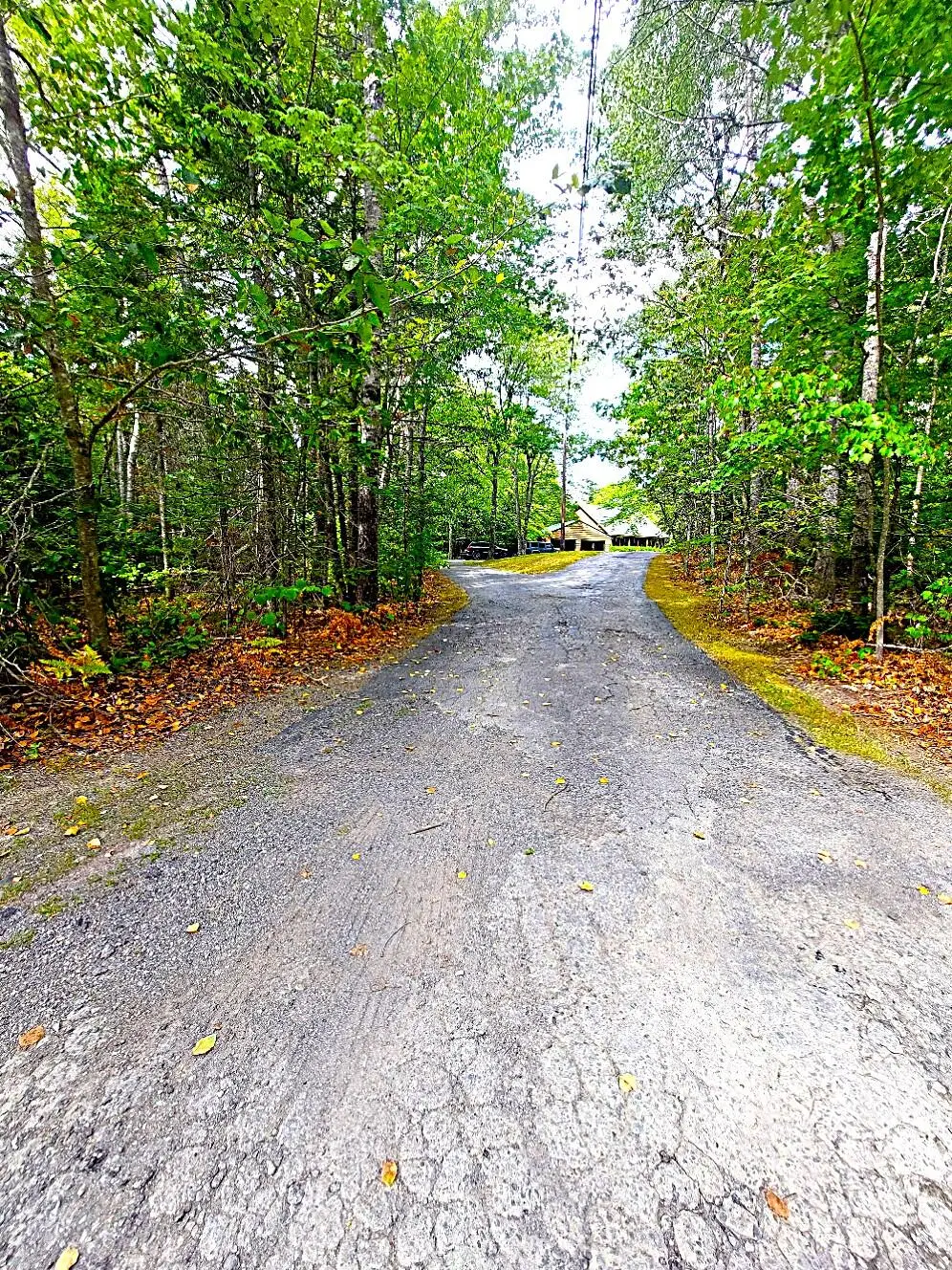 372 Forest Avenue, Orono, ME 04473 - #1