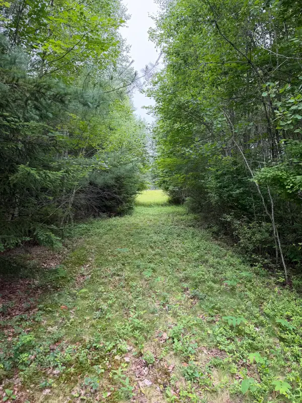 M29L107E Ellsworth Road, Blue Hill, ME 04614