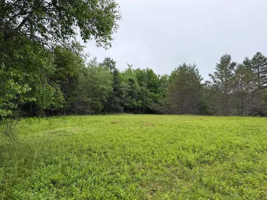 M29L107E Ellsworth Road, Blue Hill, ME 04614 - #2