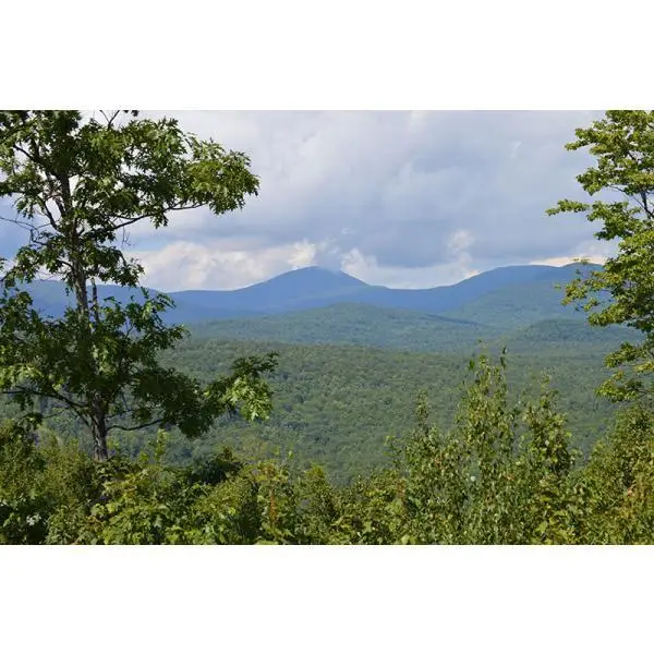 2 Lower Vose Road, Kingfield, ME 04947 - #3