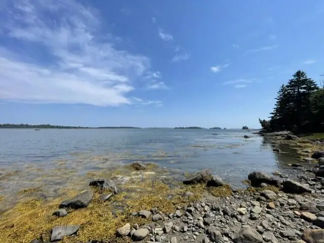 51 Bay Drive, Addison, ME 04606 - #2