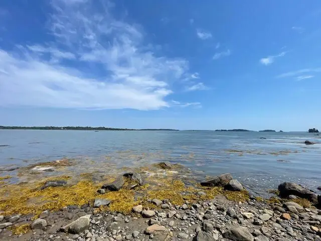 51 Bay Drive, Addison, ME 04606 - #3