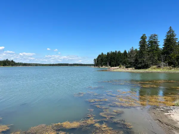 86 Back Shore Road, Steuben, ME 04680
