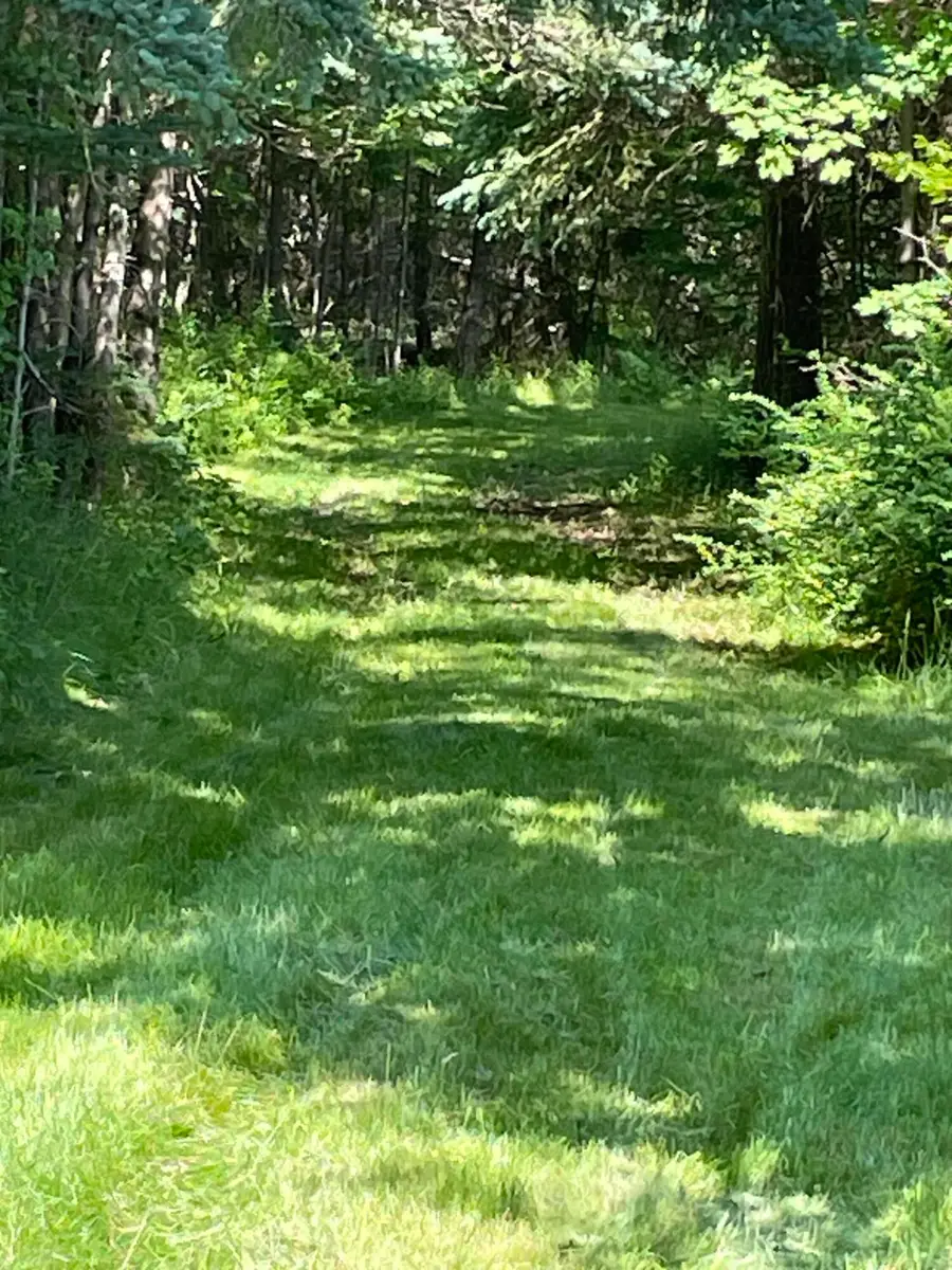 9 Ferry Road, Swans Island, ME 04685 - #3