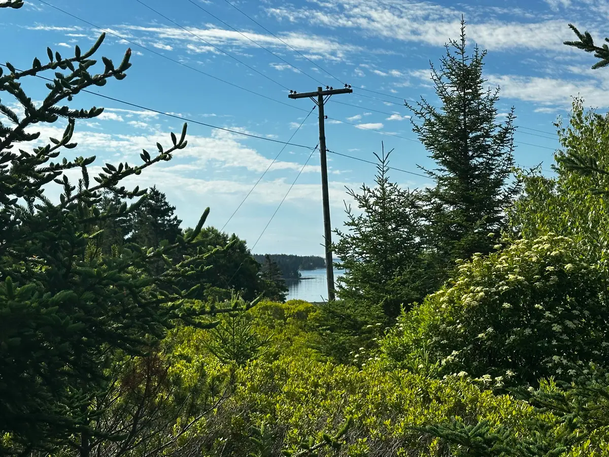 234 Harbor Road, Swans Island, ME 04685 - #1