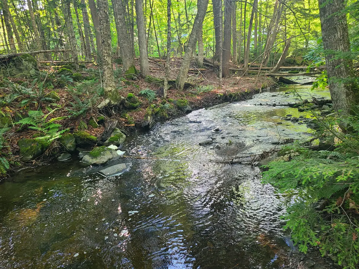 36 Ladd Road, Sebec, ME 04481 - #1