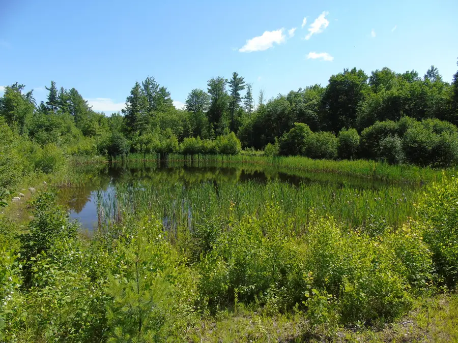 181 Ellingwood Road, Paris, ME 04281 - #3