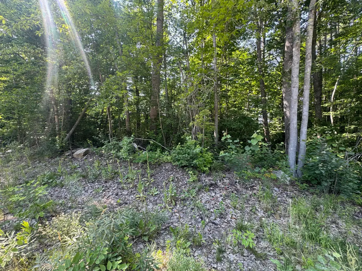 Lot 3 Fisher Drive, Limerick, ME 04048 - #1