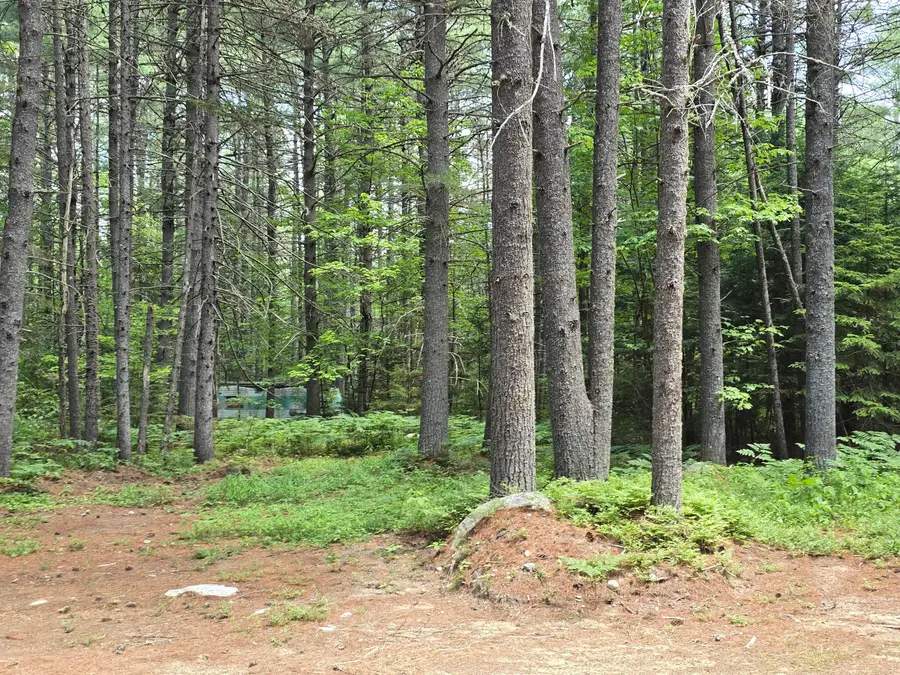 15 Stan's Road, Harrison, ME 04040 - #3