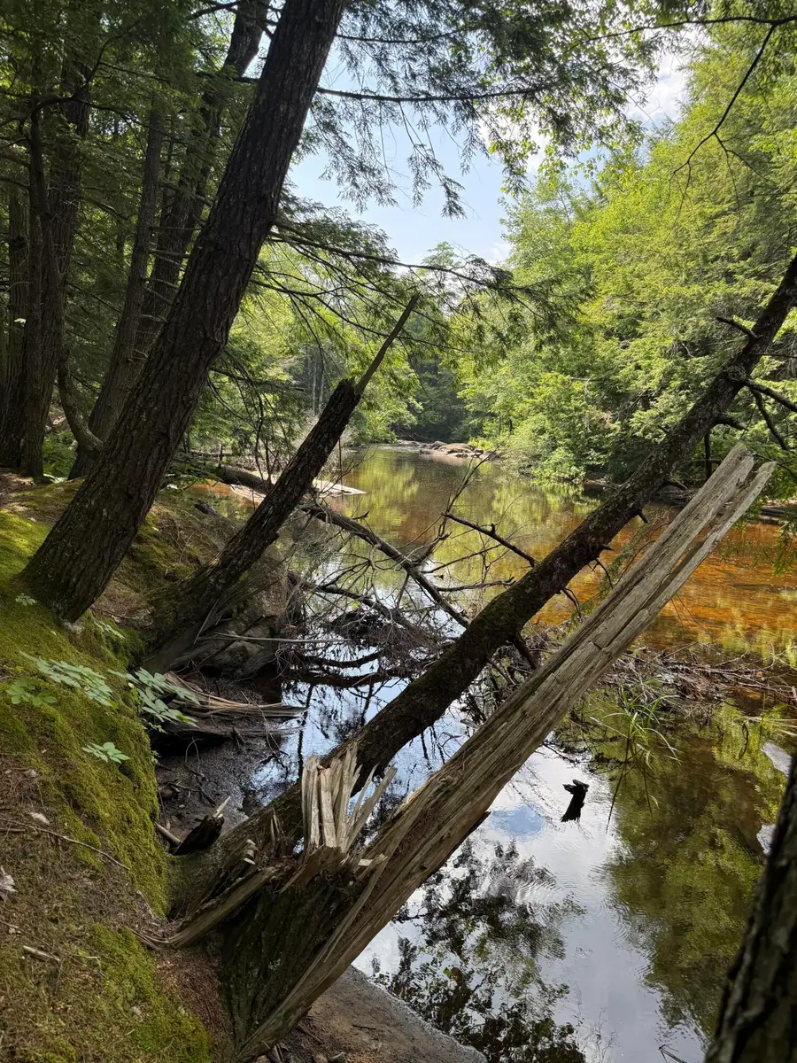 188 Norway Road, Waterford, ME 04088 - #3
