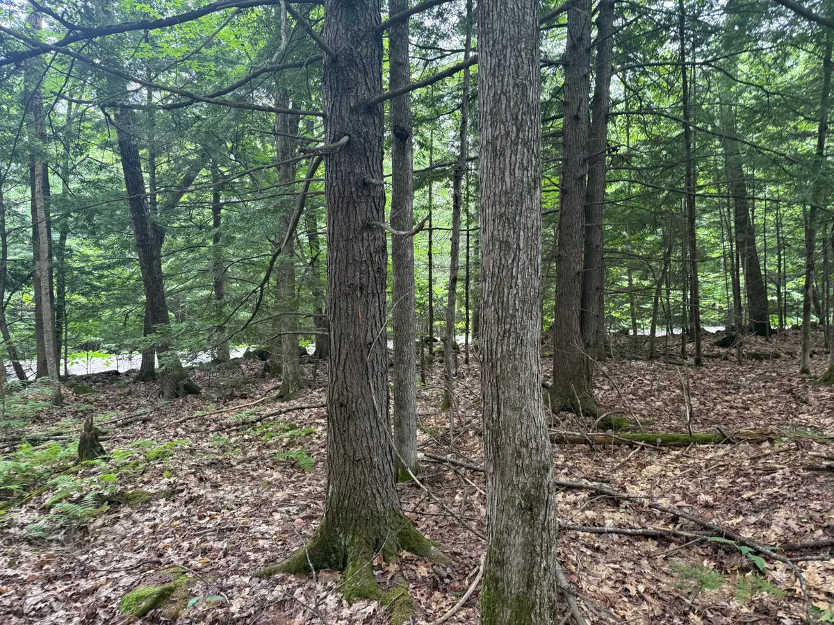 R1 L10A Hovey Road, Farmington, ME 04938 - #1