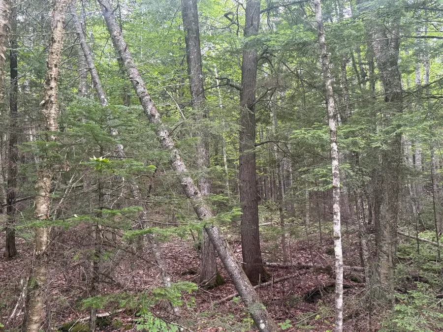R1 L10A Hovey Road, Farmington, ME 04938 - #2