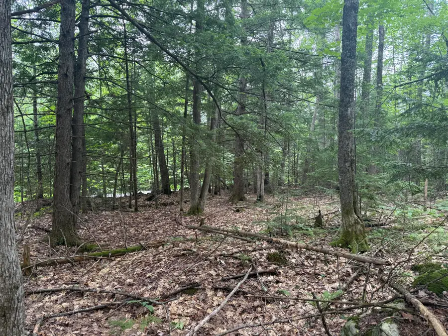 R1 L10A Hovey Road, Farmington, ME 04938 - #3