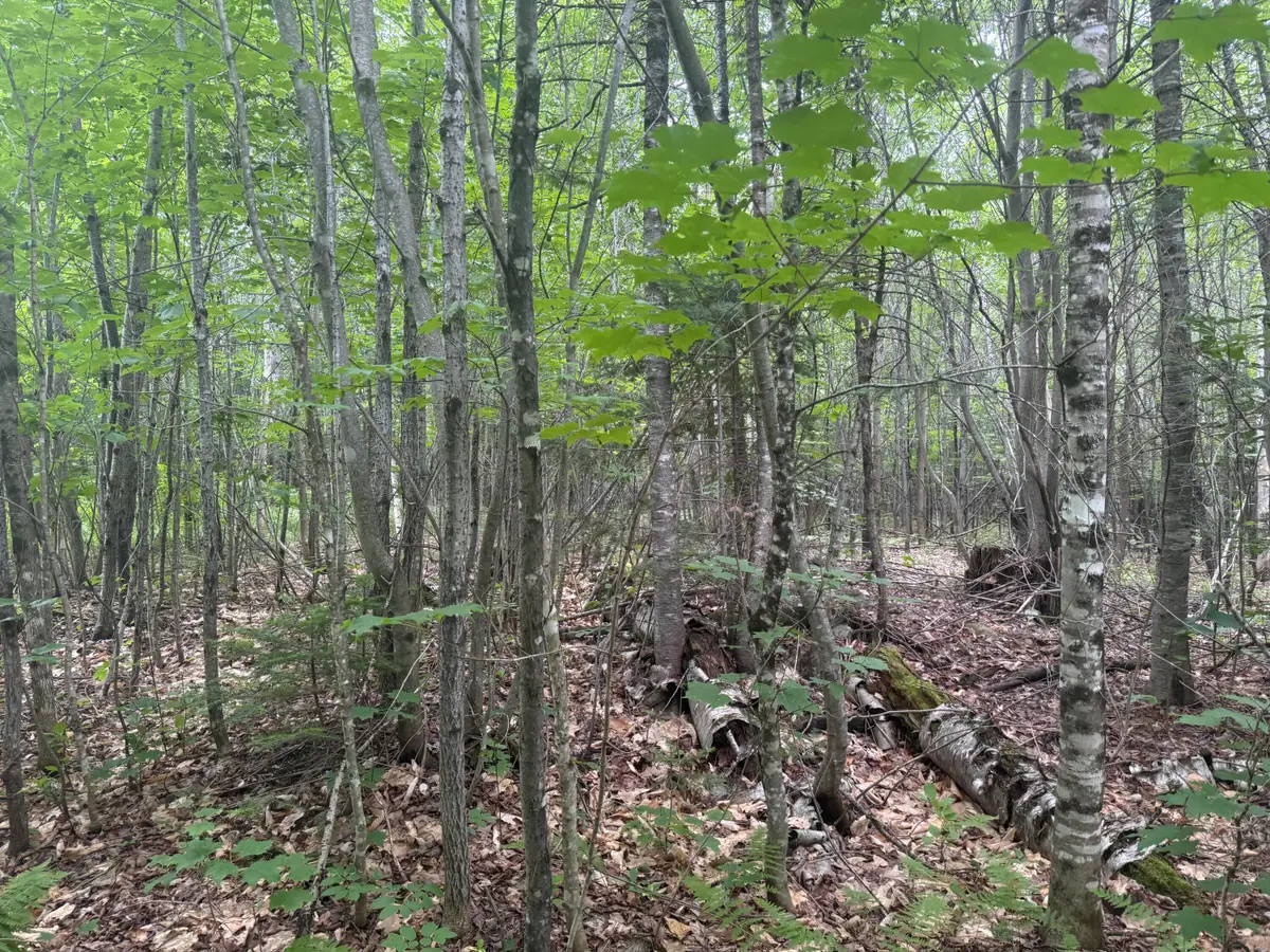 R1 L12 Hovey Road, Farmington, ME 04938 - #1