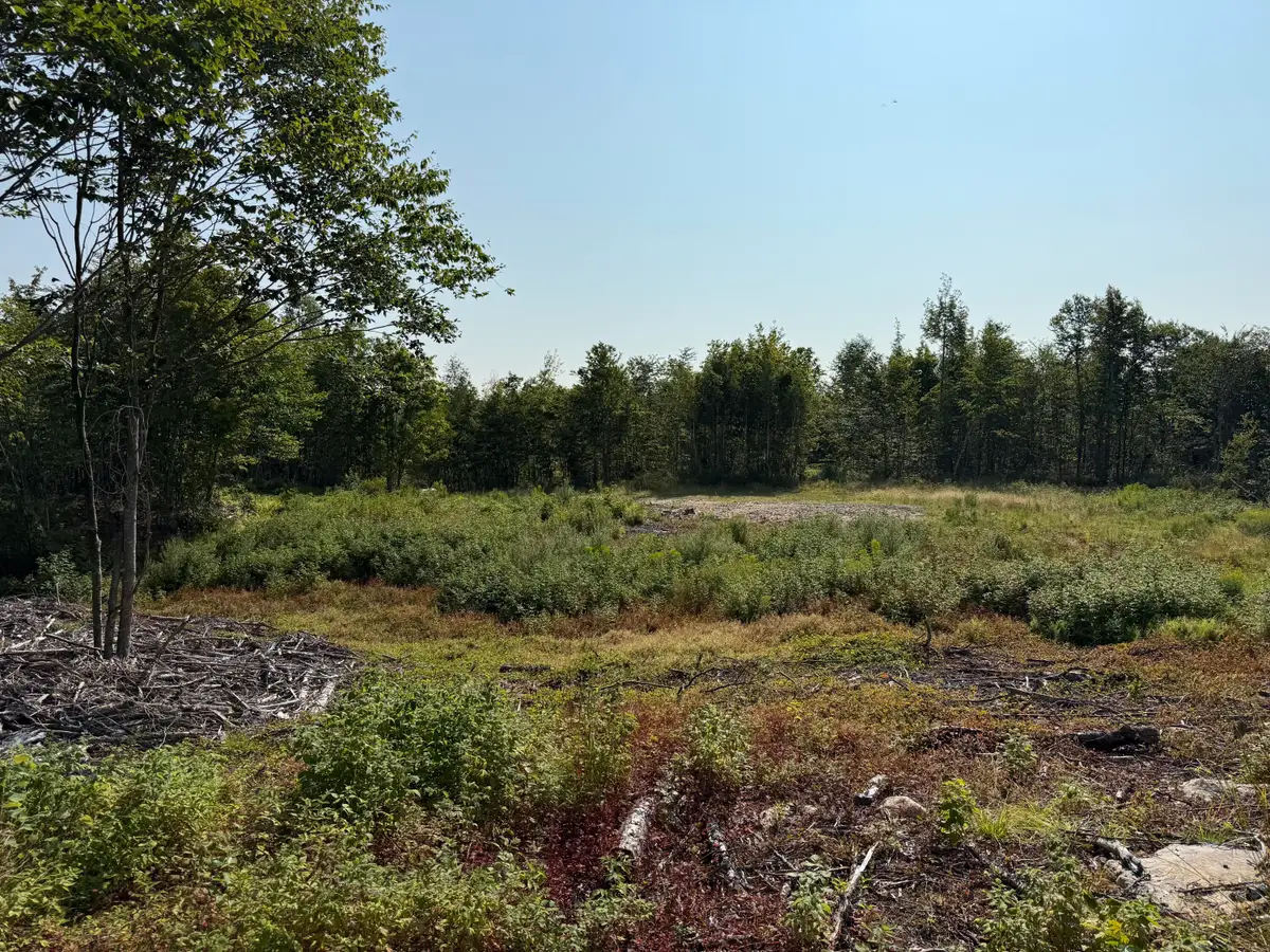 TBD Oak Mountain Road, Springfield, ME 04487 - #1