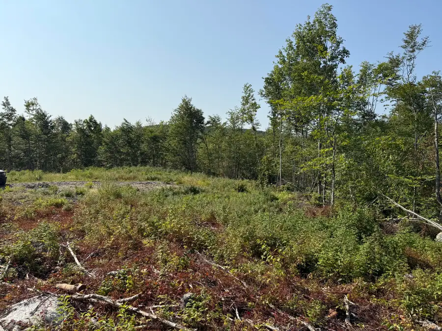 TBD Oak Mountain Road, Springfield, ME 04487 - #2