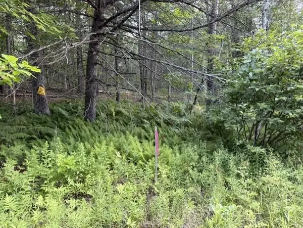 110 Calderwood Road, Washington, ME 04574