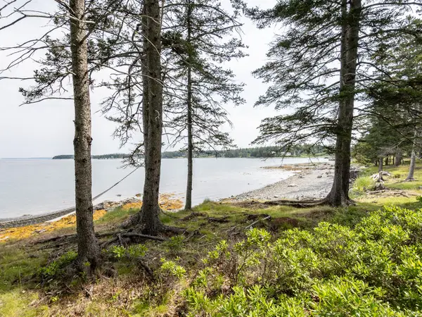 43 Steamboat Road, Swans Island, ME 04685