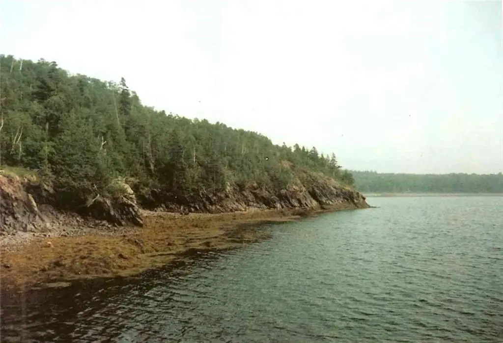 0 Mill Creek Lane, Lubec, ME 04652 - #1