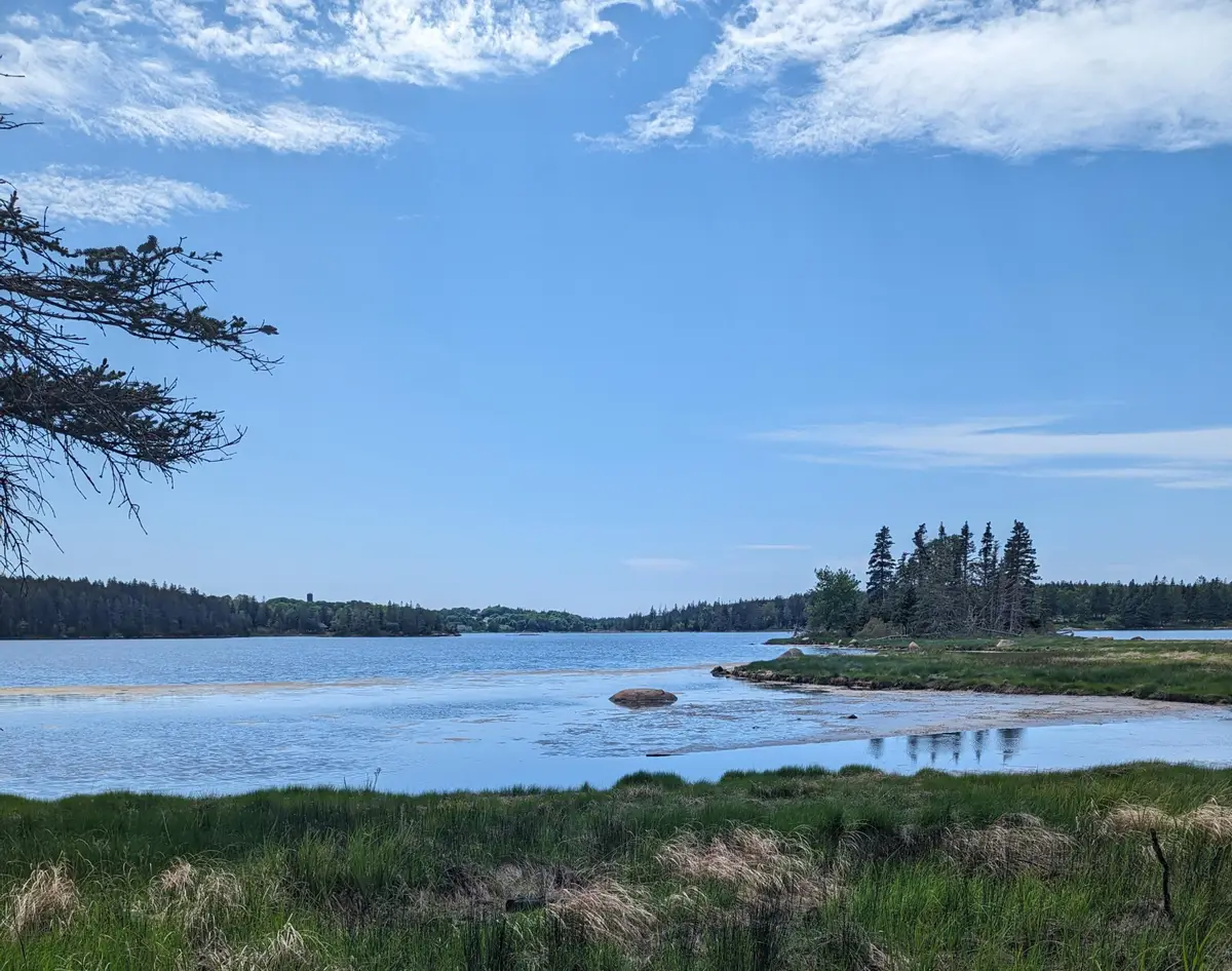 map6 lot37 Back Woods Road, Vinalhaven, ME 04863 - #1
