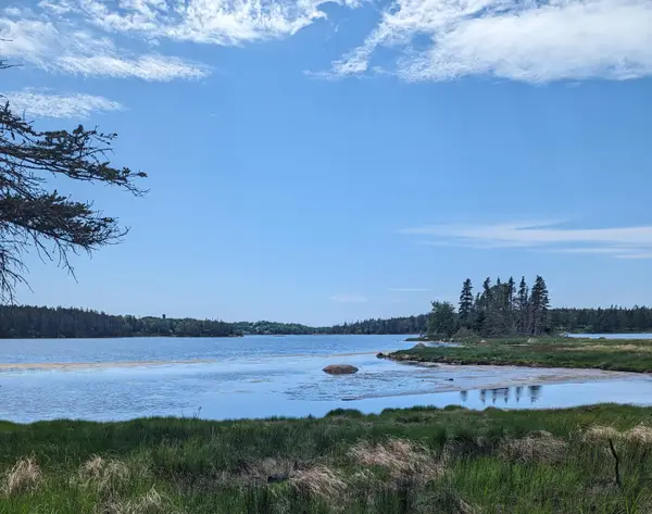 map6 lot37 Back Woods Road, Vinalhaven, ME 04863