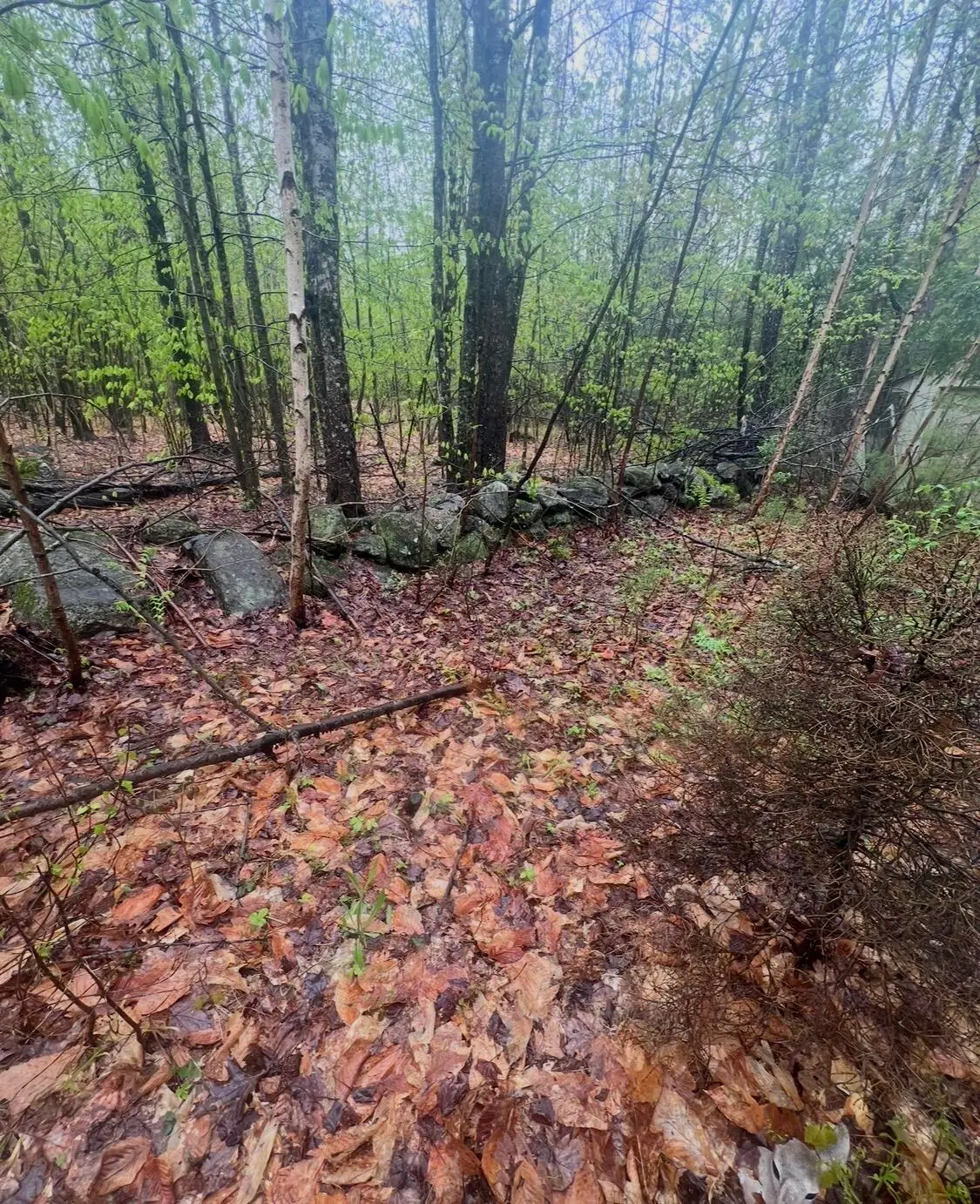 Address Withheld By Seller, West Baldwin, ME 04091 - #1