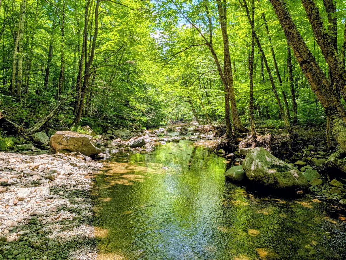 Lot 42 Beech Hill Road, East Central Franklin, ME 04966 - #1