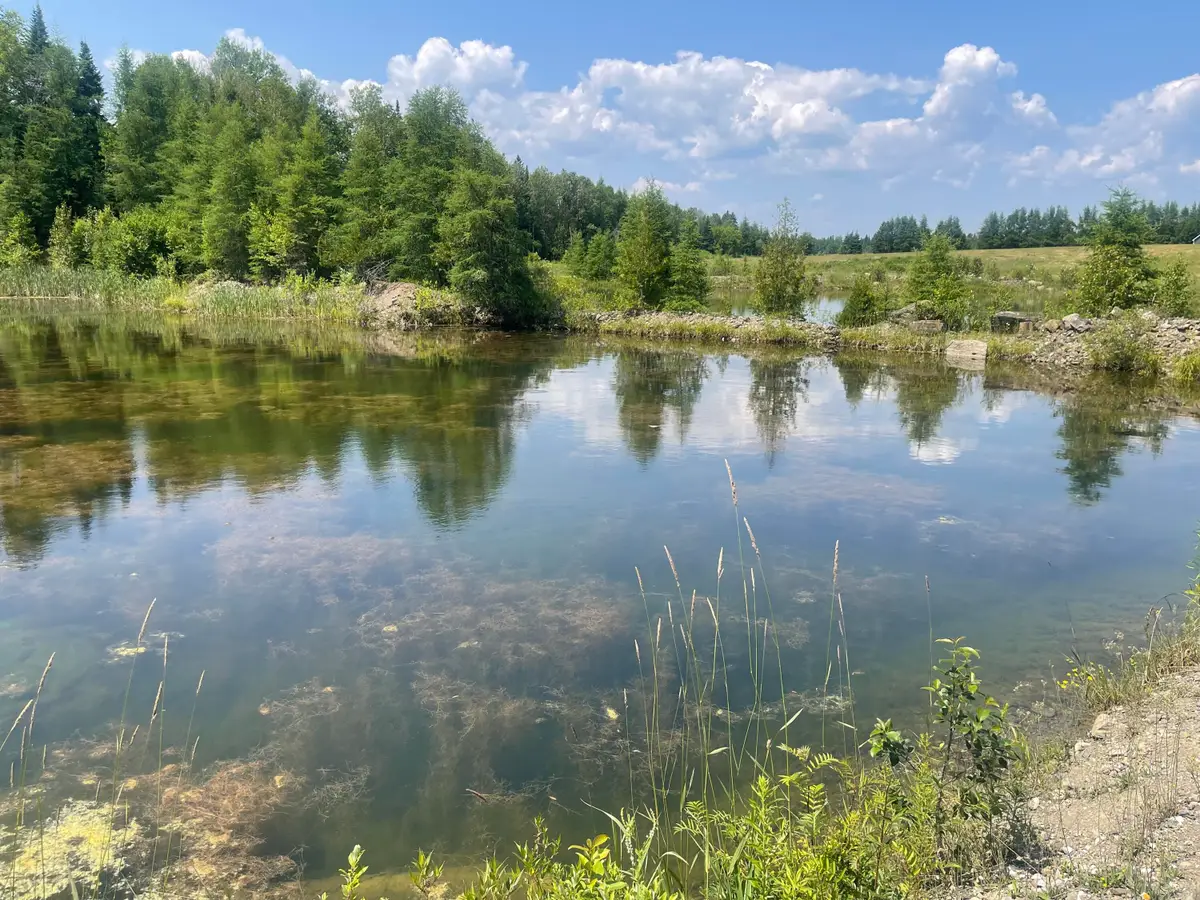 Lot 42 Lombard Road, Caribou, ME 04736 - #1