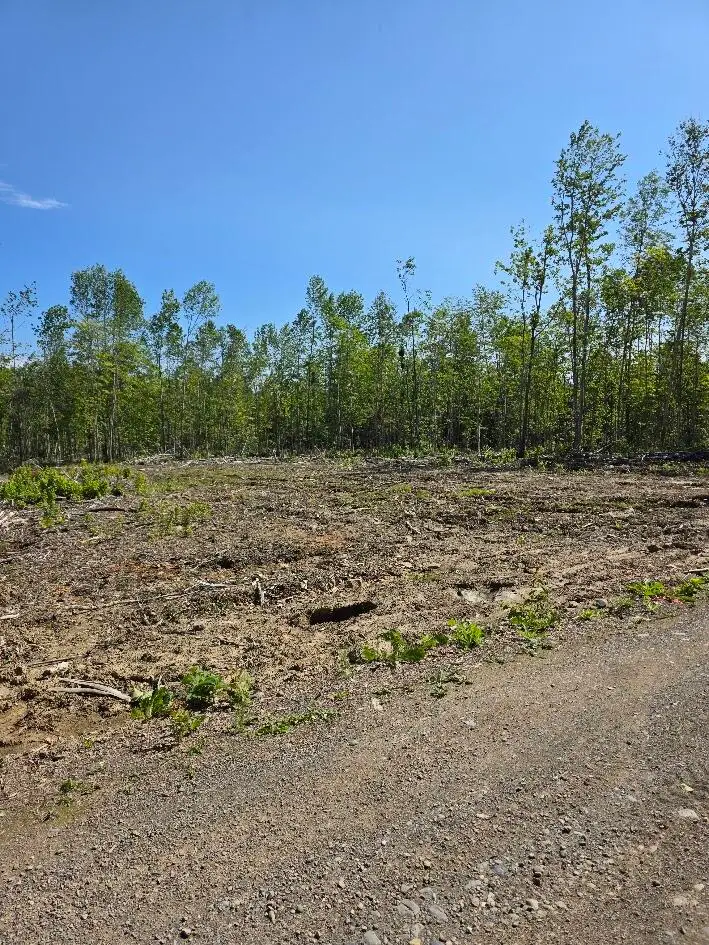 lot 27 Williams Road, Amity, ME 04471 - #2