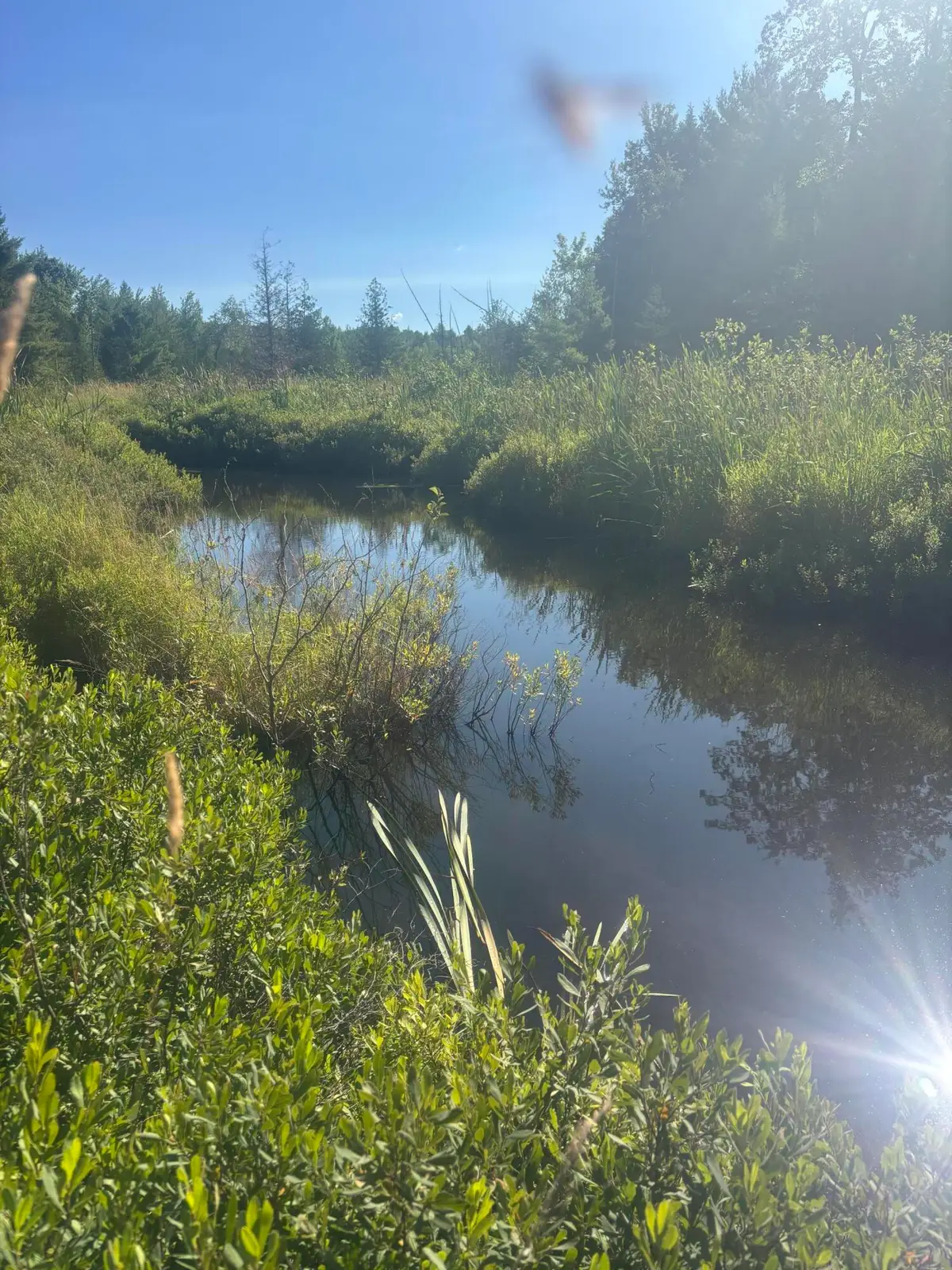 Map5/Lot53 Bangor Road, Troy, ME 04987 - #1