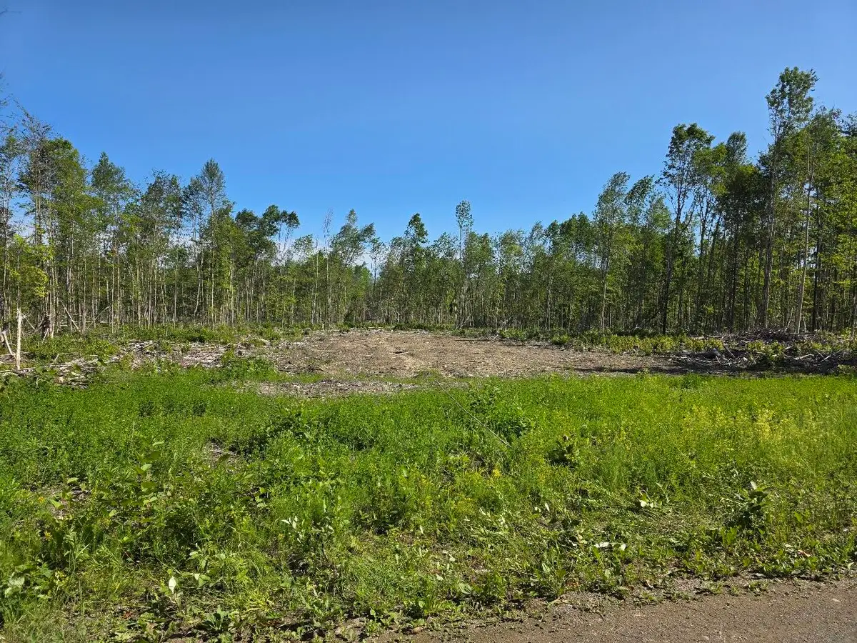 Lot 26E Williams Road, Amity, ME 04471 - #1