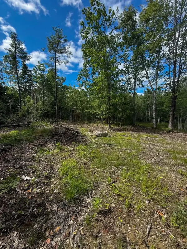 Lot #10 Russell Hill Road, Bucksport, ME 04416