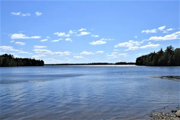 WA 4 L 8.7 Big Lake Landing Road, Grand Lake Stream Plt, ME 04637