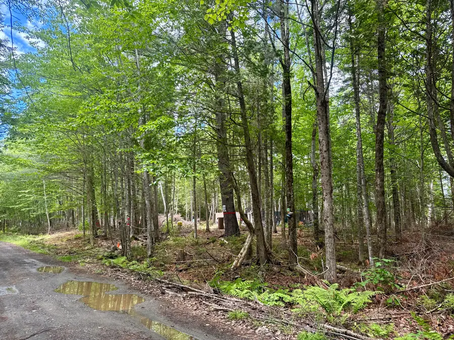 77 Orchard Road, Guilford, ME 04443 - #2