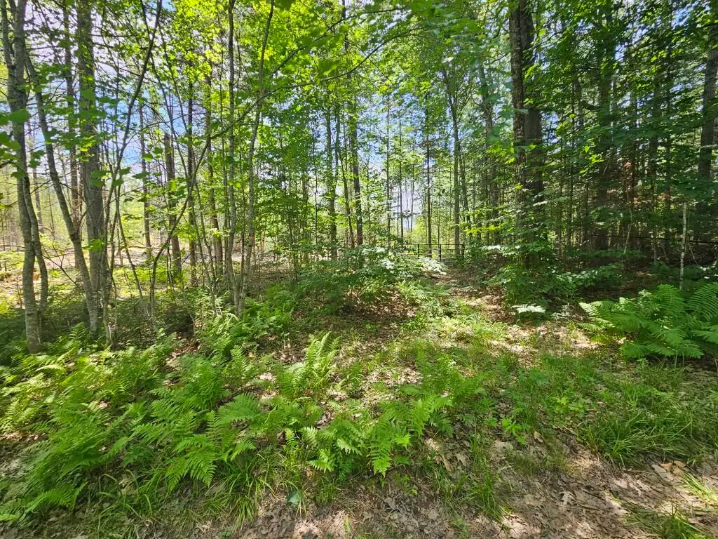 19A Quaker Ridge Road, Leeds, ME 04263 - #1