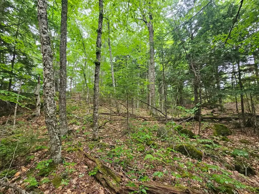 19A Quaker Ridge Road, Leeds, ME 04263 - #2