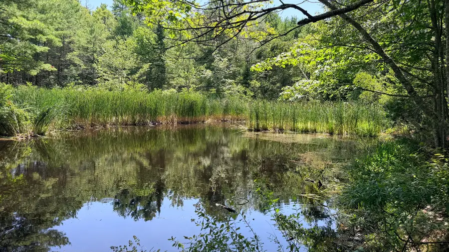 82 Quaker Point Road, West Bath, ME 04530 - #3