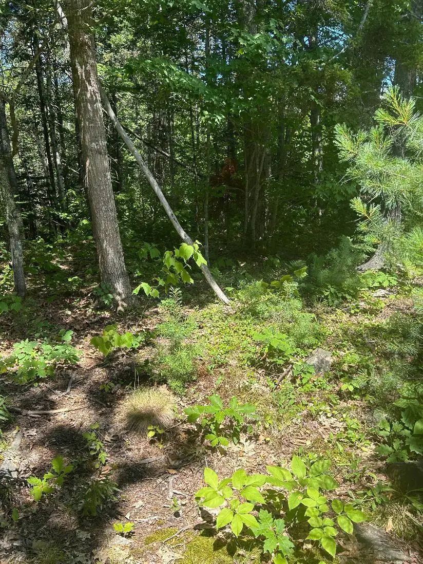 7 Shackleton's Way, Boothbay, ME 04537 - #1