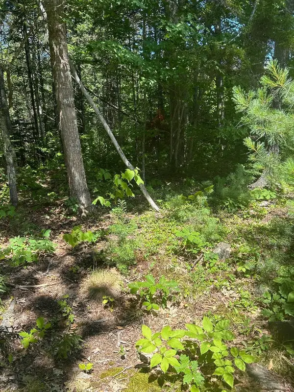 7 Shackleton's Way, Boothbay, ME 04537