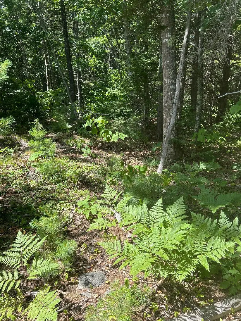 7 Shackleton's Way, Boothbay, ME 04537 - #2