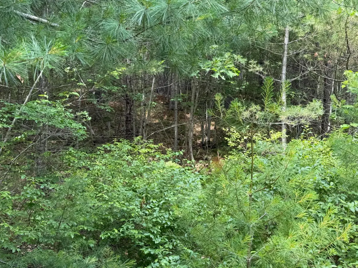 Lot 068011 Shore Road, Bremen, ME 04551 - #1