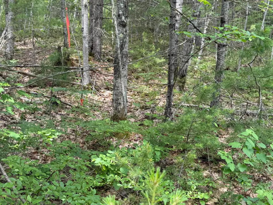 Lot 068011 Shore Road, Bremen, ME 04551 - #2