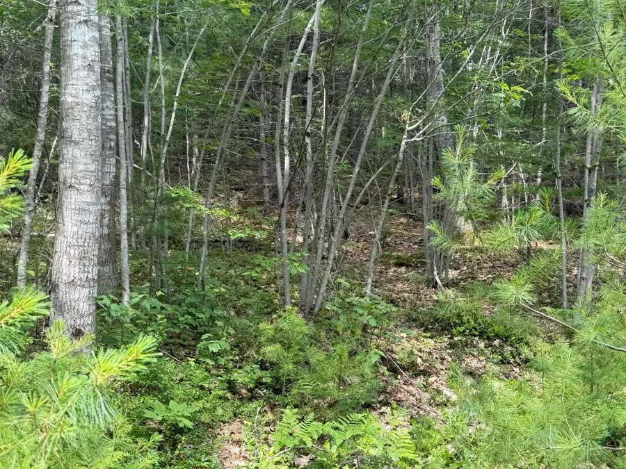 Lot 068011 Shore Road, Bremen, ME 04551 - #3