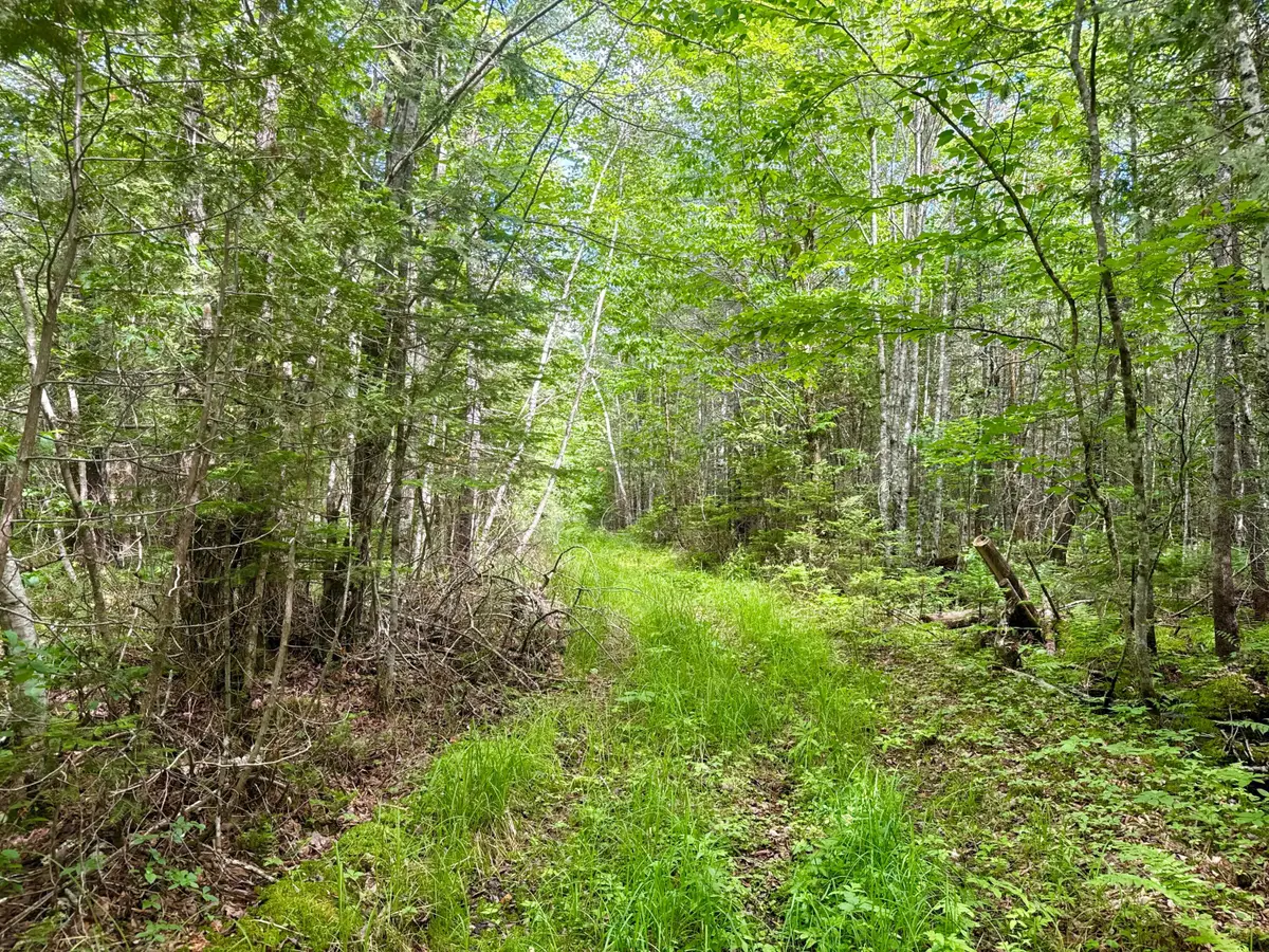 M2L12 Wellington Road, Harmony, ME 04942 - #1