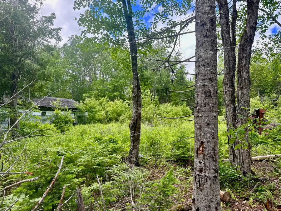 M2L12 Wellington Road, Harmony, ME 04942 - #2