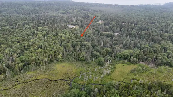 36 Lemoine (map 12 Lot 36) Road, Swans Island, ME 04685