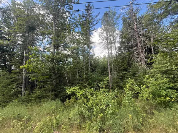 Lot #11 Russell Hill Road, Bucksport, ME 04416