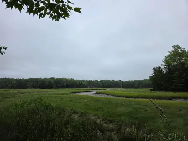 Lot 175 Poplar Lane, Milbridge, ME 04658
