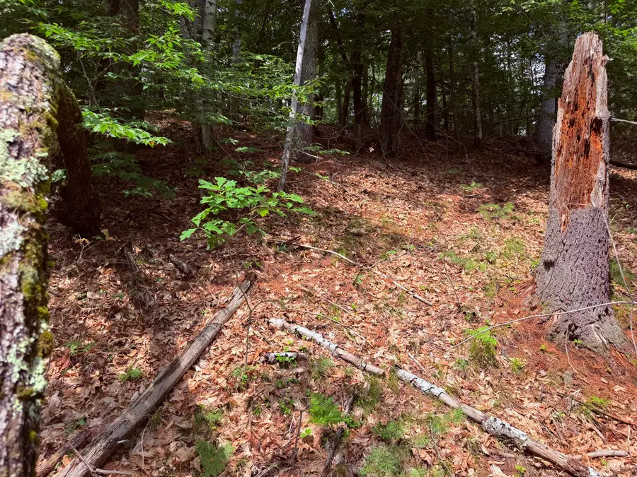 TBD High Point Circle, Lake Arrowhead, ME 04061 - #3
